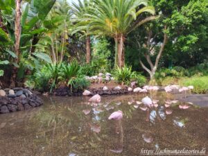 Mehr über den Artikel erfahren Stehen bleiben